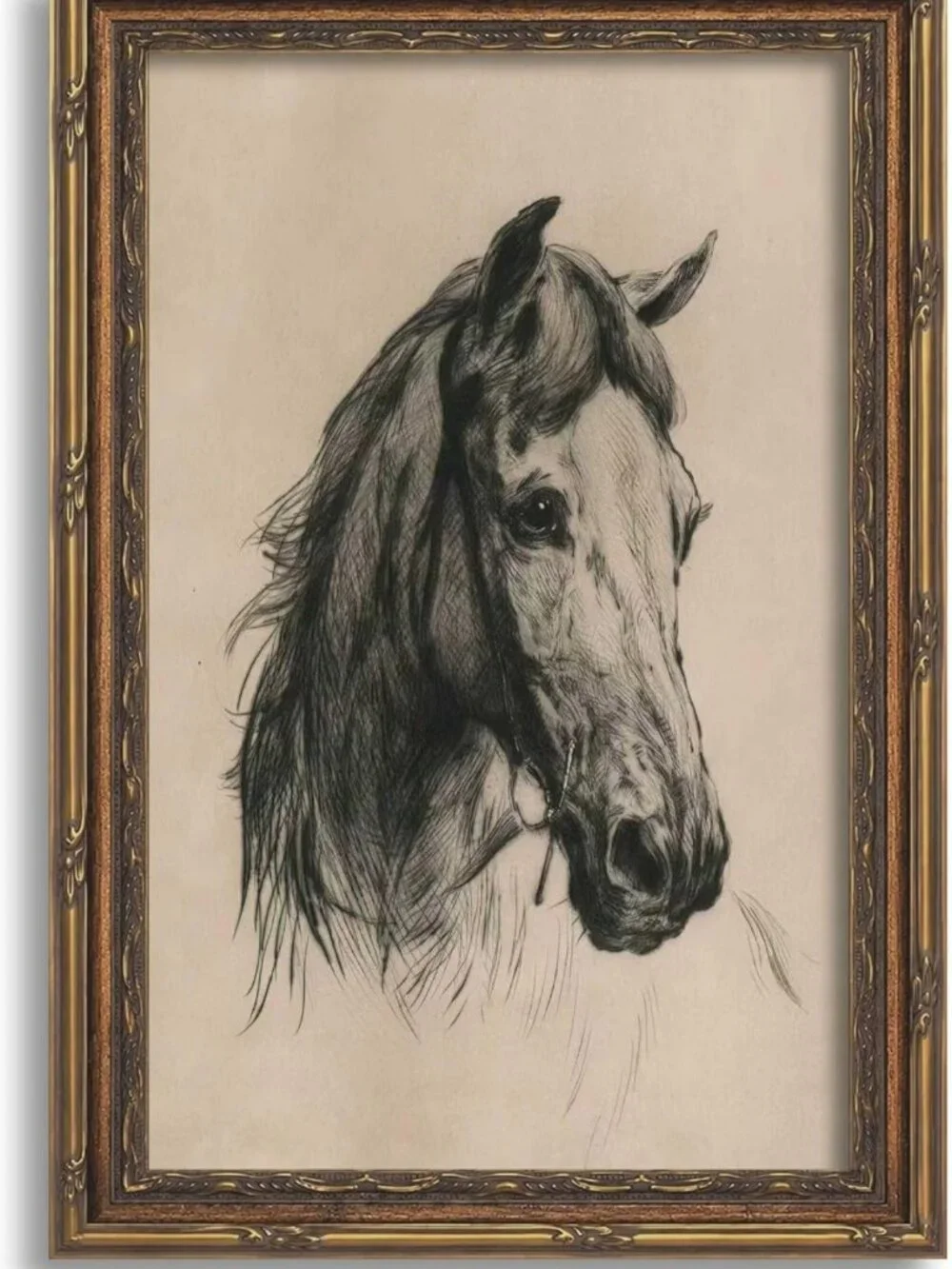 Elegant Gold Framed Horse Head Sketch Wall Art | Equestrian Canvas Print 16x24